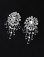 Rhinestone Flower Teardrop Tassel Earrings