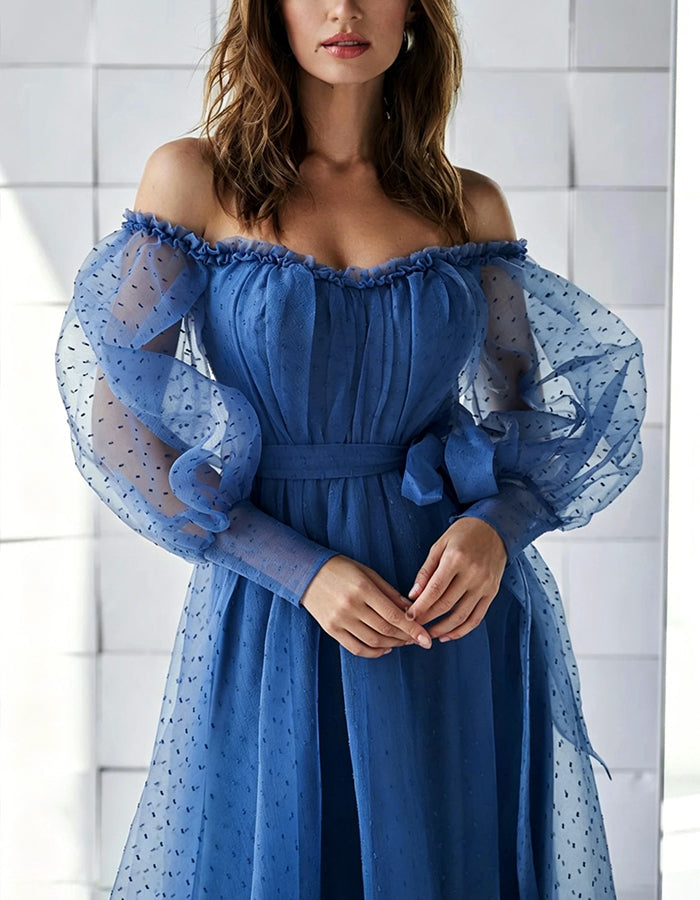 Blue Polka Dot Tulle Off Shoulder Design Maxi Dress