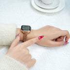 Correa Apple Watch de acero inoxidable, malla bizantina trenzada, cierre a presión, modelo Coranie