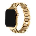 Correa Apple Watch de acero inoxidable, malla Spiga trenzada en espiga, modelo Clytia