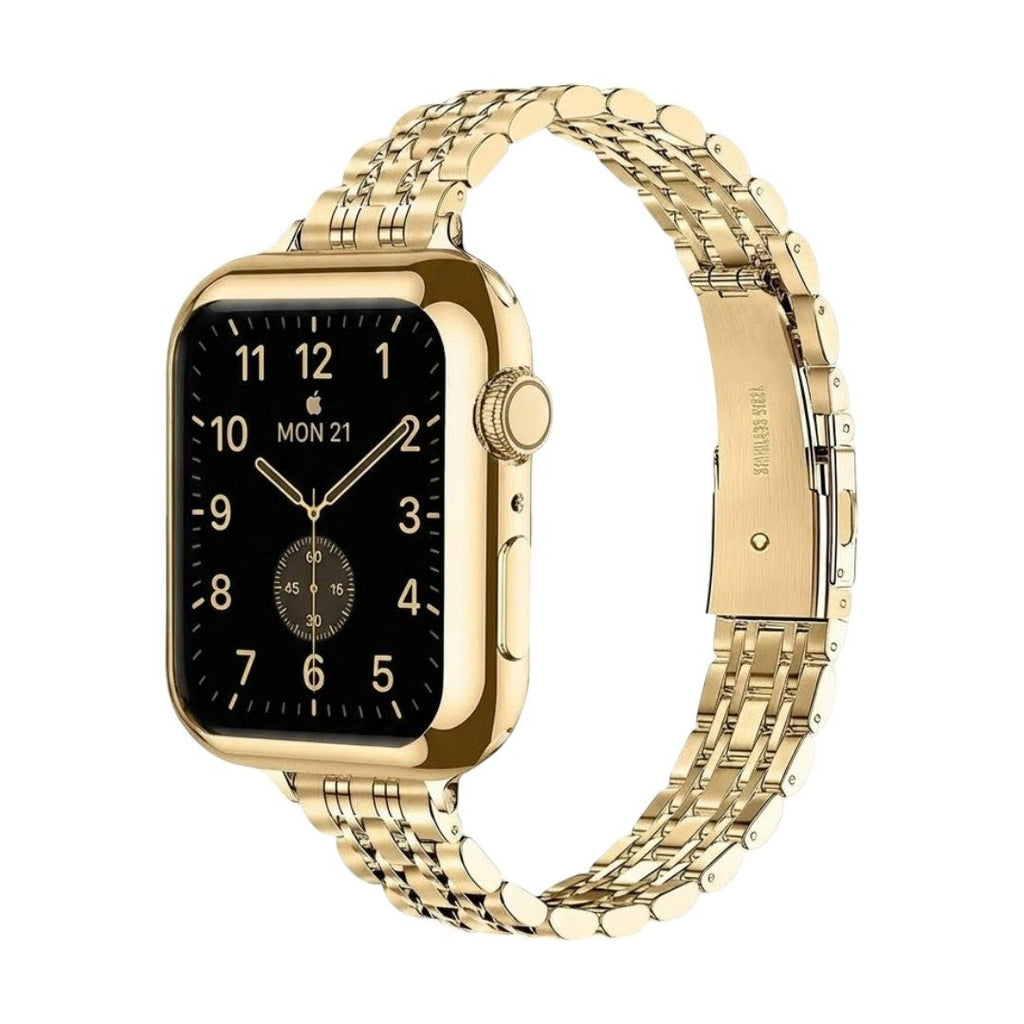 Correa de acero inoxidable para Apple Watch, malla de cinco hileras con carcasa integrada, modelo Payda